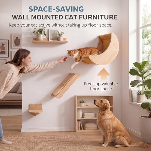 Cat Wall Shelves Set, Solid Wood Moon Bed, Perch & Stair
