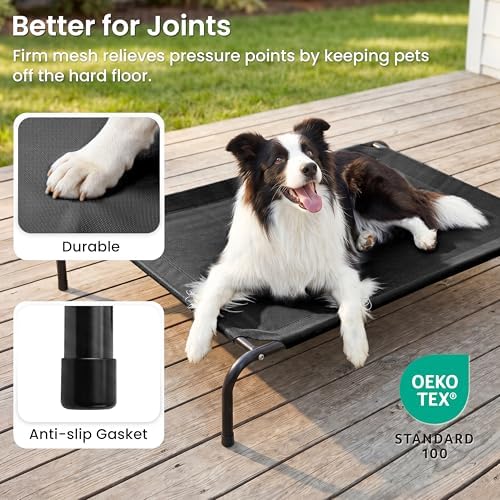 Love's cabin Elevated Cooling Dog Bed
