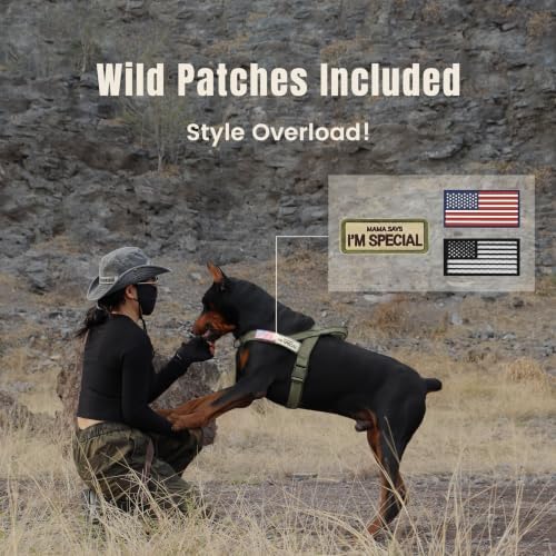 Forestpaw No Pull Dog Harness