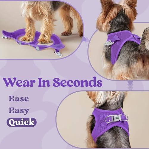 rabbitgoo Step-in Small Dog Harness, Puppy Vest