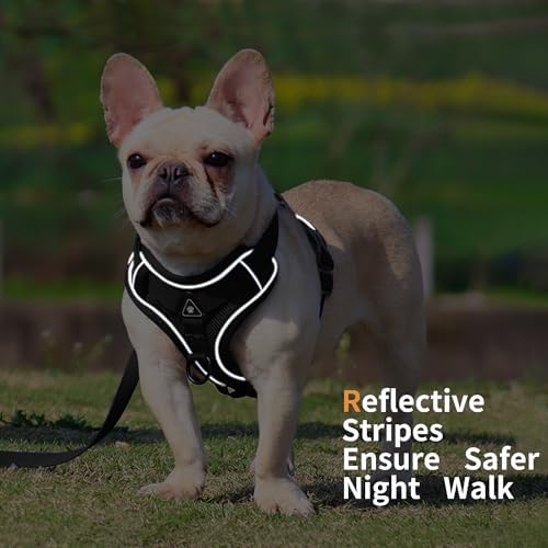 Dog Harness Medium Sized Dog Pet Vest