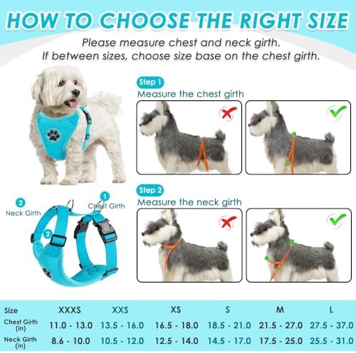 SlowTon Dog Seat Belt and Harness