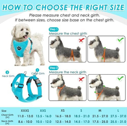 SlowTon Dog Seat Belt and Harness