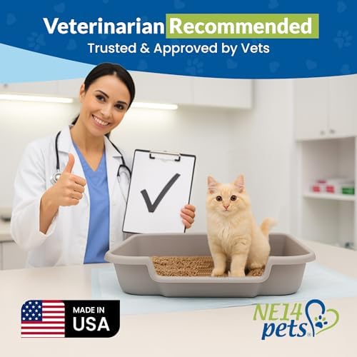 KittyGoHere Senior Cat Litter Box Large
