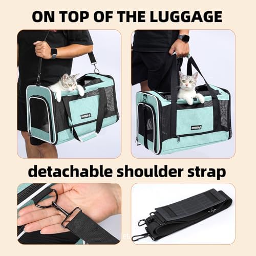 Cat Carrier Soft-Sided Travel Bag