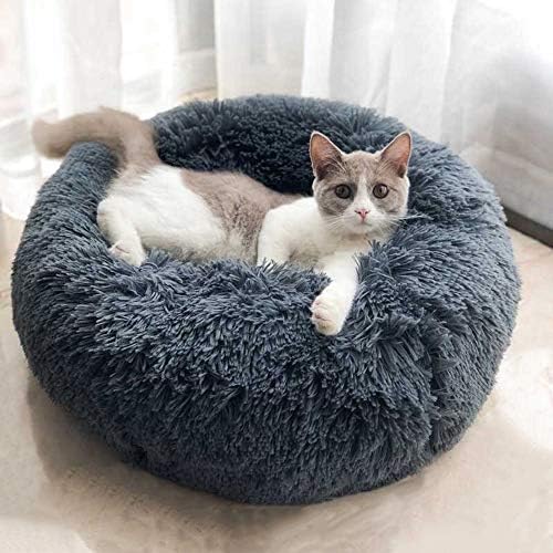Cat Bed for Indoor Cats, Mini Plush Self Warming Kitten Bed, 20 Inch