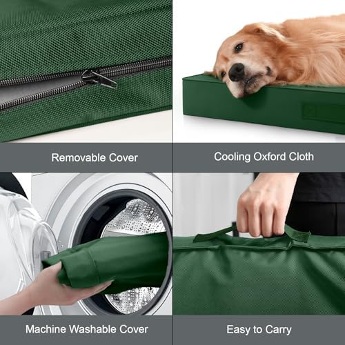 Large Waterproof Orthopedic Dog Bed