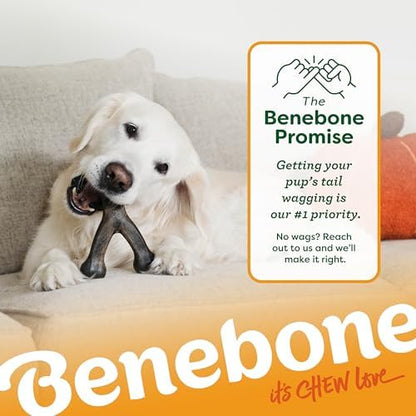 Benebone Wishbone Chew Toy for Aggressive Chewers, Pumpkin Spice