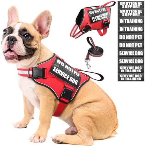 Service Dog Vest Harness and Leash Set+10 Patches, No Pull&Adjustable