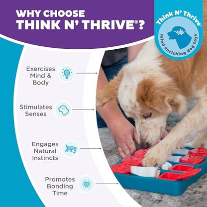 Outward Hound Nina Ottosson Dog Brick Dog Toy Treat Puzzle