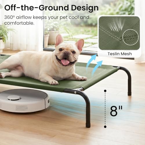 Love's cabin Elevated Cooling Dog Bed