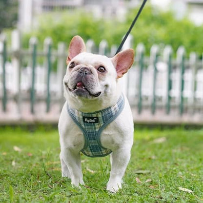 PUPTECK Small Dog Harness and Leash Set No Pull