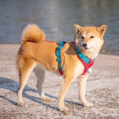 PHOEPET No Pull Dog Harness, Unique Colors Reflective Adjustable Dog Vest