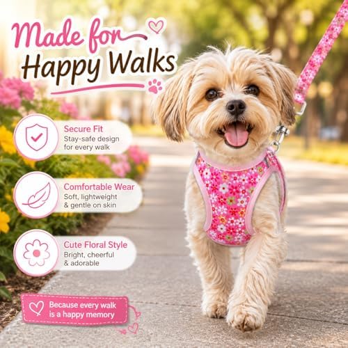 Step in Dog Harness Leash Set- All Weather Reflective No-Pull Floral Pattern