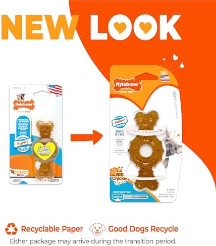 Nylabone Puppy Chew Teething Ring Bone Dog Toy, Chicken Flavor