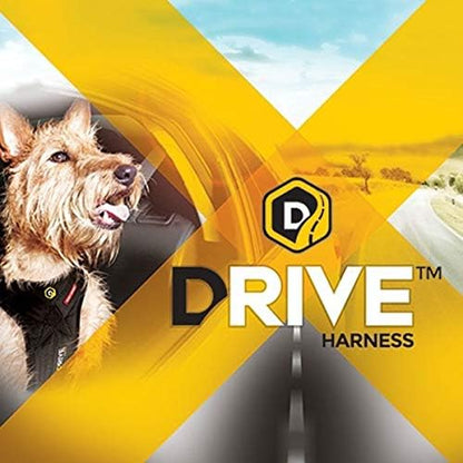 EzyDog Drive Dog Car Harness – Crash Tested and Certified (US-FMVSS 213) Dog Seat Belt Harness for Safe Travel, Adjustable with Padded Comfort (Large)