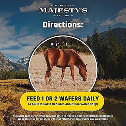 Majesty's Flex HA Wafers - Superior Performance Horse/Equine Joint Support Supplement - HA, Vitamin C, Yucca, Glucosamine (Peppermint, 2 Pack(120 Count Total))