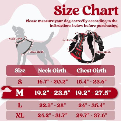 rabbitgoo Dog Harness Medium Sized, Updated Easy On & Off