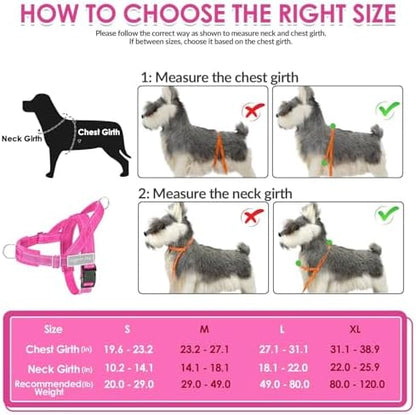 SlowTon No Pull Dog Harness and Leash Set