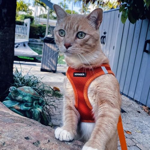 Voyager Step-in Air Cat Harness & Leash Set