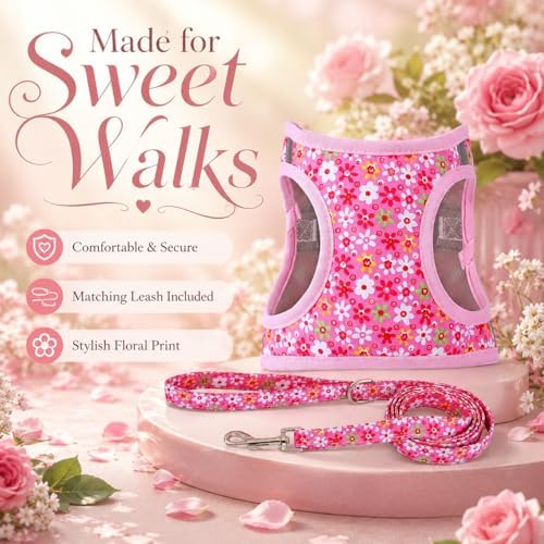 Step in Dog Harness Leash Set- All Weather Reflective No-Pull Floral Pattern