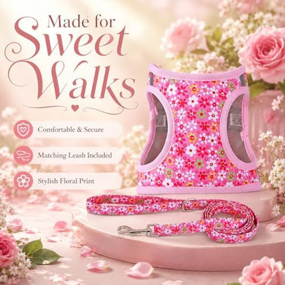 Step in Dog Harness Leash Set- All Weather Reflective No-Pull Floral Pattern