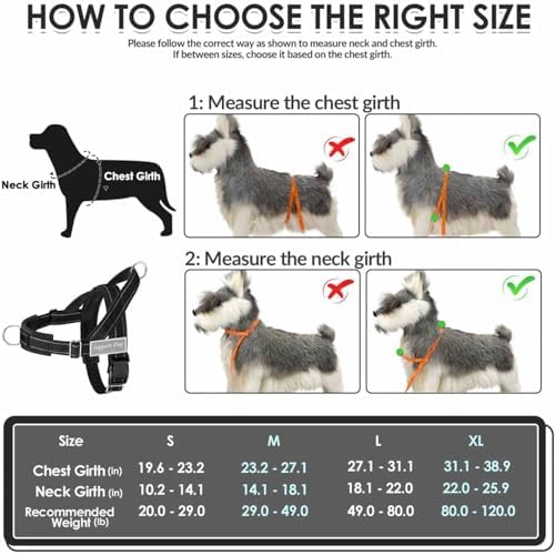 Lukovee No Pull Dog Harness and Leash Set, Soft Padded