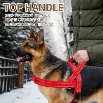 No Pull Dog Harness and 5FT Leash Set