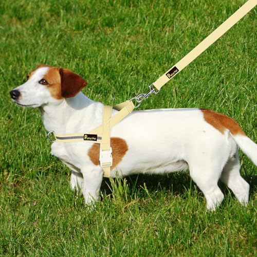 Plutus Pet Cotton Dog Harness and Leash Set, Reflective and Soft Padded