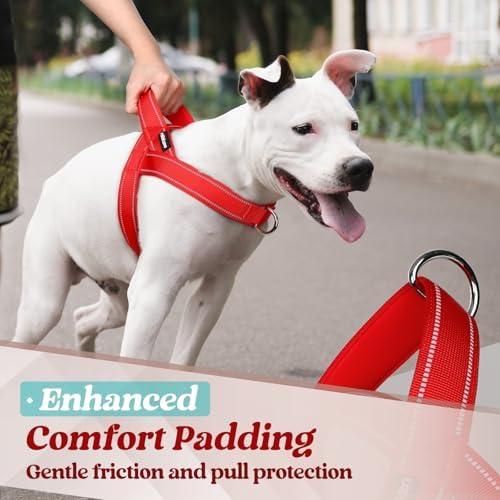 rabbitgoo Dog Harness No Pull, Quick Fit