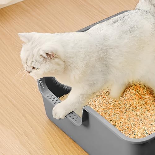Extra Large Cat Litter Box – High-Sided Plastic Litter Box