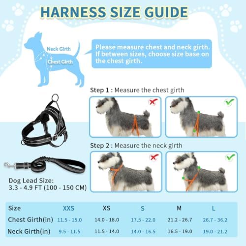 SlowTon No Pull Small Dog Harness and Leash Set