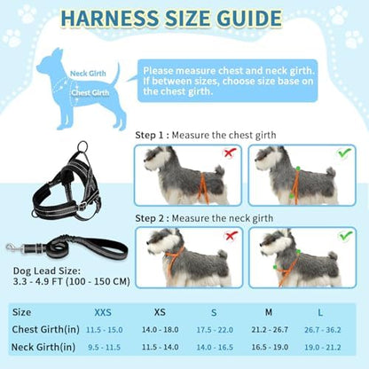 SlowTon No Pull Small Dog Harness and Leash Set