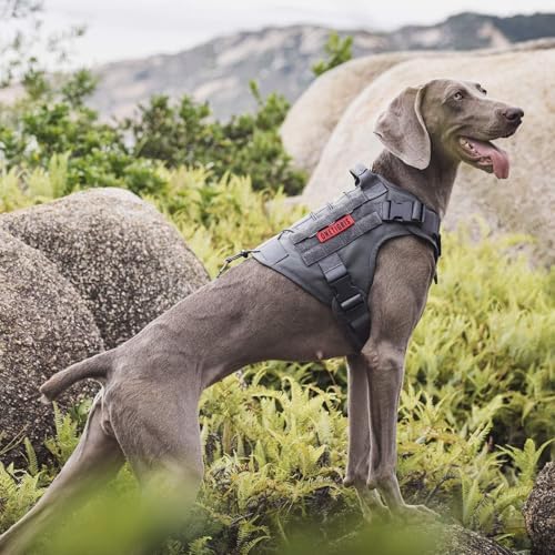 OneTigris Tactical Dog Harness Vest No-Pull Service Dog Vest