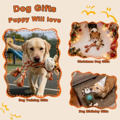 Rope Dog Toys to Keep Them Busy