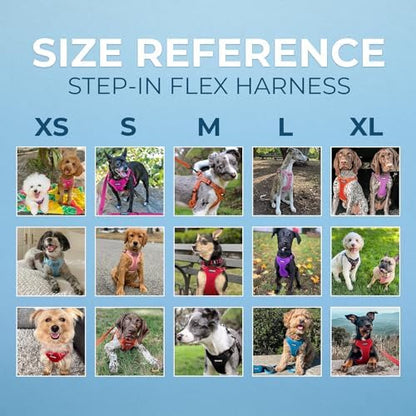 Voyager Step-in Flex Adjustable Dog Harness