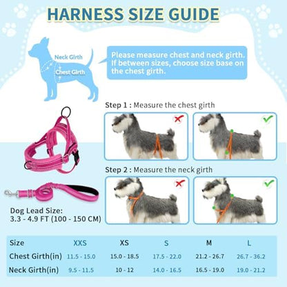 SlowTon No Pull Small Dog Harness and Leash Set