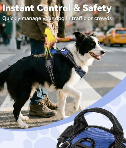 Joytale No Pull Dog Harness Medium Sized Dog, Front Clip