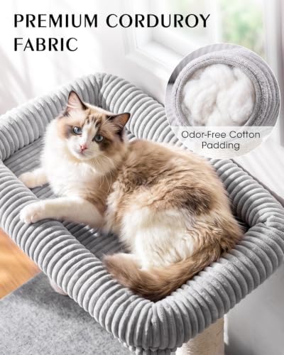 Maine Coon Cat Tree for Large Indoor Cats, Cat Tower, Stable Base