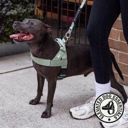 Dog Friendly Co. Dog Harness for Small Dogs
