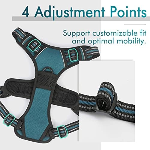 rabbitgoo Dog Harness, No Pull for Small Dogs