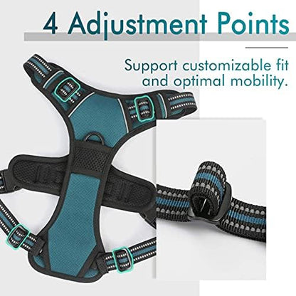 rabbitgoo Dog Harness, No Pull for Small Dogs