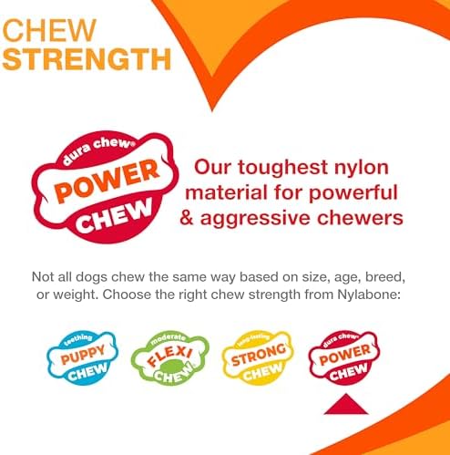 Nylabone Power Chew Original Bone Dog Chew Toy, Original Flavor