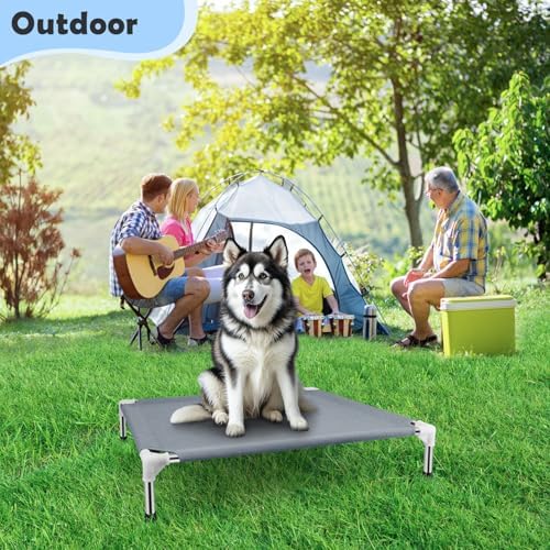 Elevated Dog Bed, Raised Dog Bed