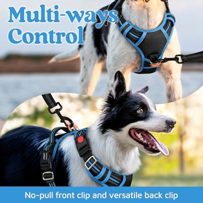 rabbitgoo Dog Harness for Large, No Pull 3 Buckles Easy On & Off
