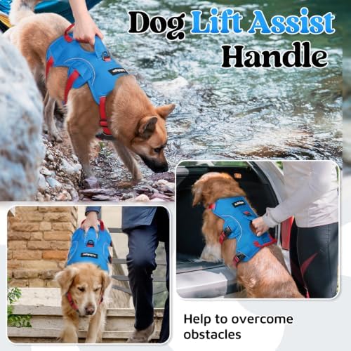 rabbitgoo Escape Proof Dog Harness