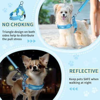 Lukovee Small Dog Harness and Leash Set, No Pull Soft Padded Vest