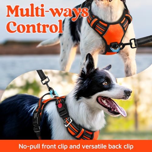 rabbitgoo Dog Harness for Large, No Pull 3 Buckles Easy On & Off