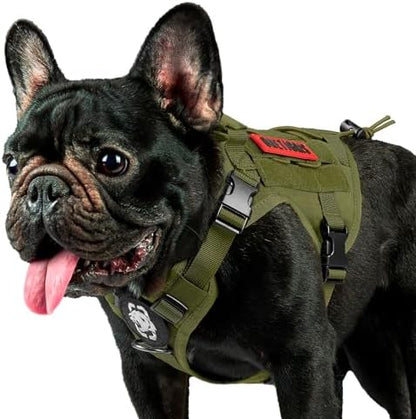 OneTigris Tactical Dog Harness