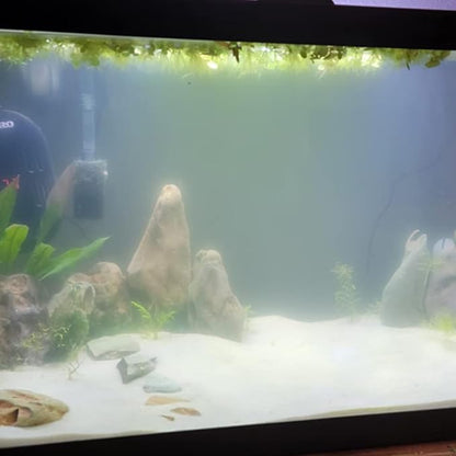 Natural Stone Aquarium Decoration 4.4 lb Dragon Stone Rock Mixed Sizes for Micro Landscape Fish Tank Decor